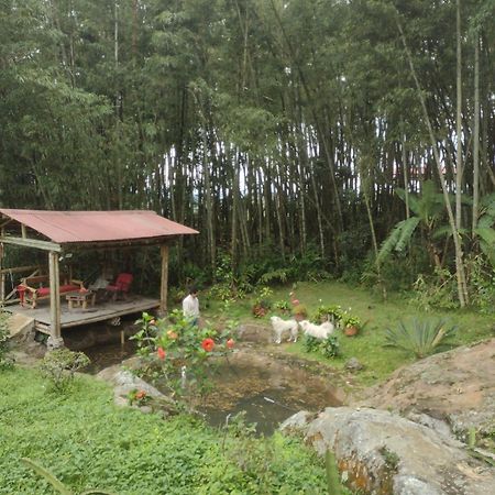 Finca Exclusividad Familiar O Grupo De Amigos Capacidad Hasta 12 Personas Calles En Placa Huella, Caminata Ecologica Alban  Bagian luar foto
