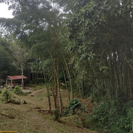Finca Exclusividad Familiar O Grupo De Amigos Capacidad Hasta 12 Personas Calles En Placa Huella, Caminata Ecologica Alban  Bagian luar foto