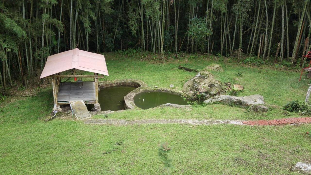 Finca Exclusividad Familiar O Grupo De Amigos Capacidad Hasta 12 Personas Calles En Placa Huella, Caminata Ecologica Alban  Bagian luar foto