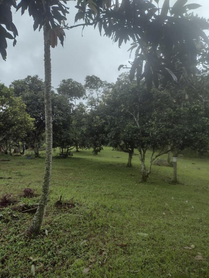 Finca Exclusividad Familiar O Grupo De Amigos Capacidad Hasta 12 Personas Calles En Placa Huella, Caminata Ecologica Alban  Bagian luar foto