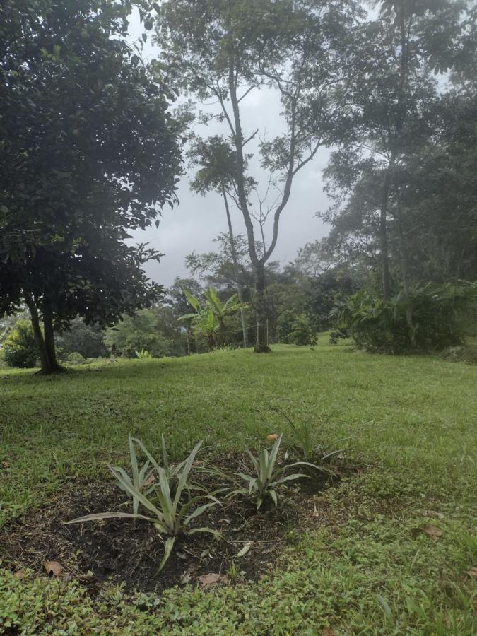 Finca Exclusividad Familiar O Grupo De Amigos Capacidad Hasta 12 Personas Calles En Placa Huella, Caminata Ecologica Alban  Bagian luar foto