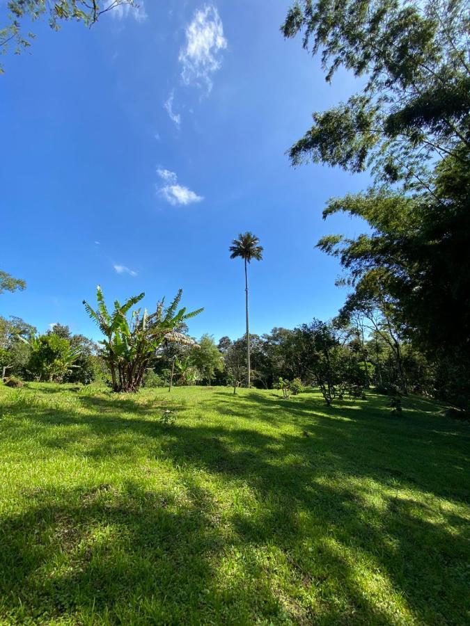 Finca Exclusividad Familiar O Grupo De Amigos Capacidad Hasta 12 Personas Calles En Placa Huella, Caminata Ecologica Alban  Bagian luar foto