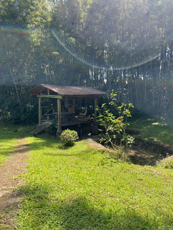 Finca Exclusividad Familiar O Grupo De Amigos Capacidad Hasta 12 Personas Calles En Placa Huella, Caminata Ecologica Alban  Bagian luar foto