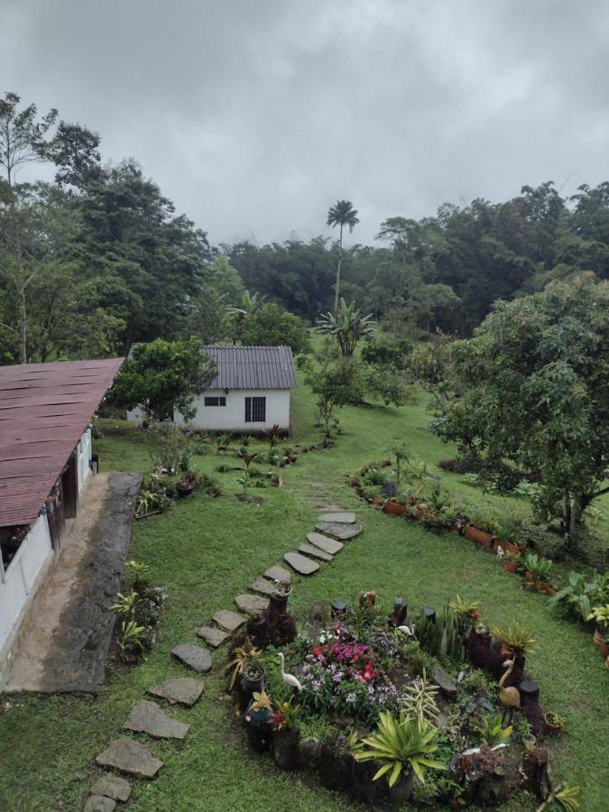 Finca Exclusividad Familiar O Grupo De Amigos Capacidad Hasta 12 Personas Calles En Placa Huella, Caminata Ecologica Alban  Bagian luar foto