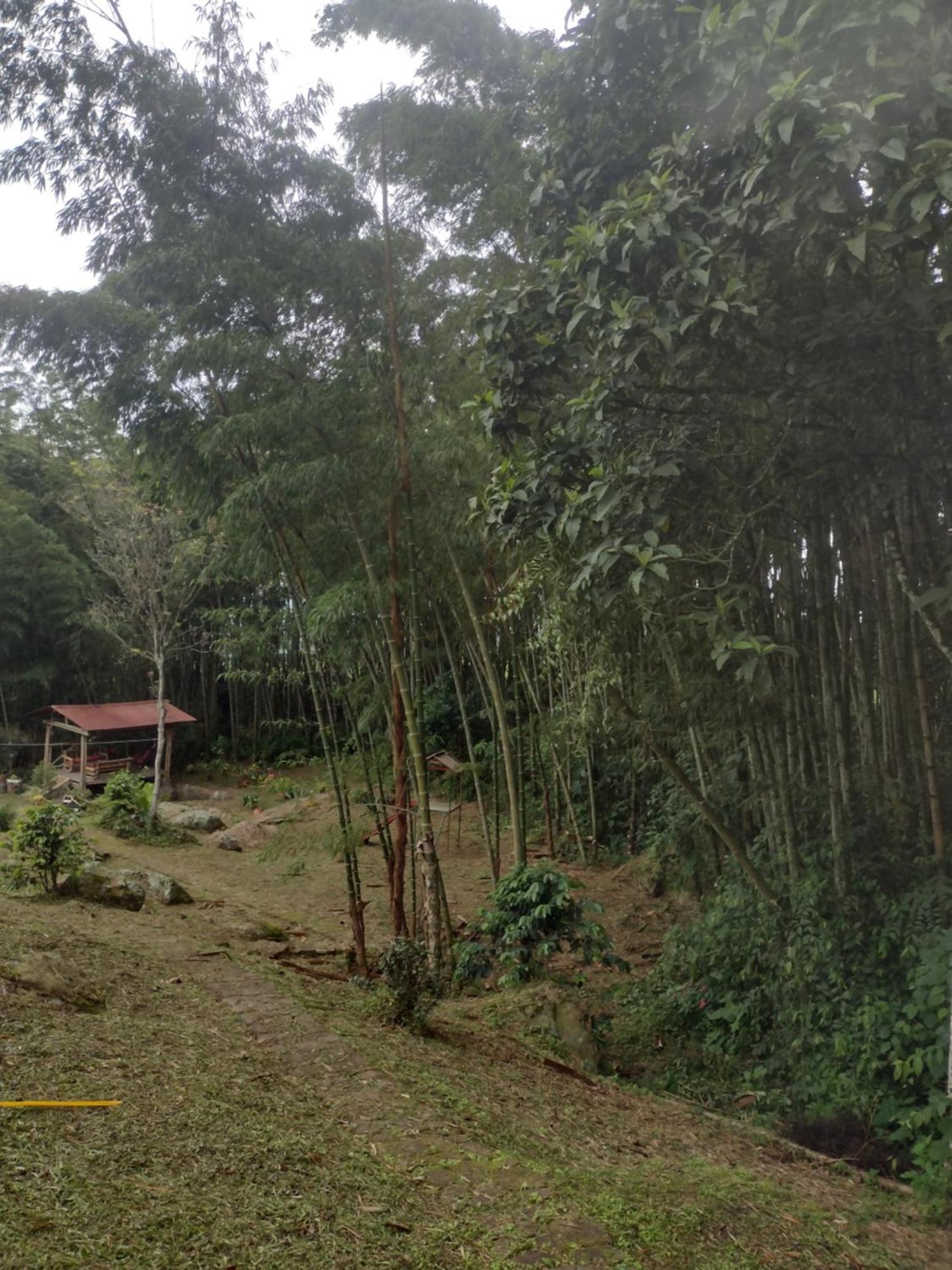 Finca Exclusividad Familiar O Grupo De Amigos Capacidad Hasta 12 Personas Calles En Placa Huella, Caminata Ecologica Alban  Bagian luar foto